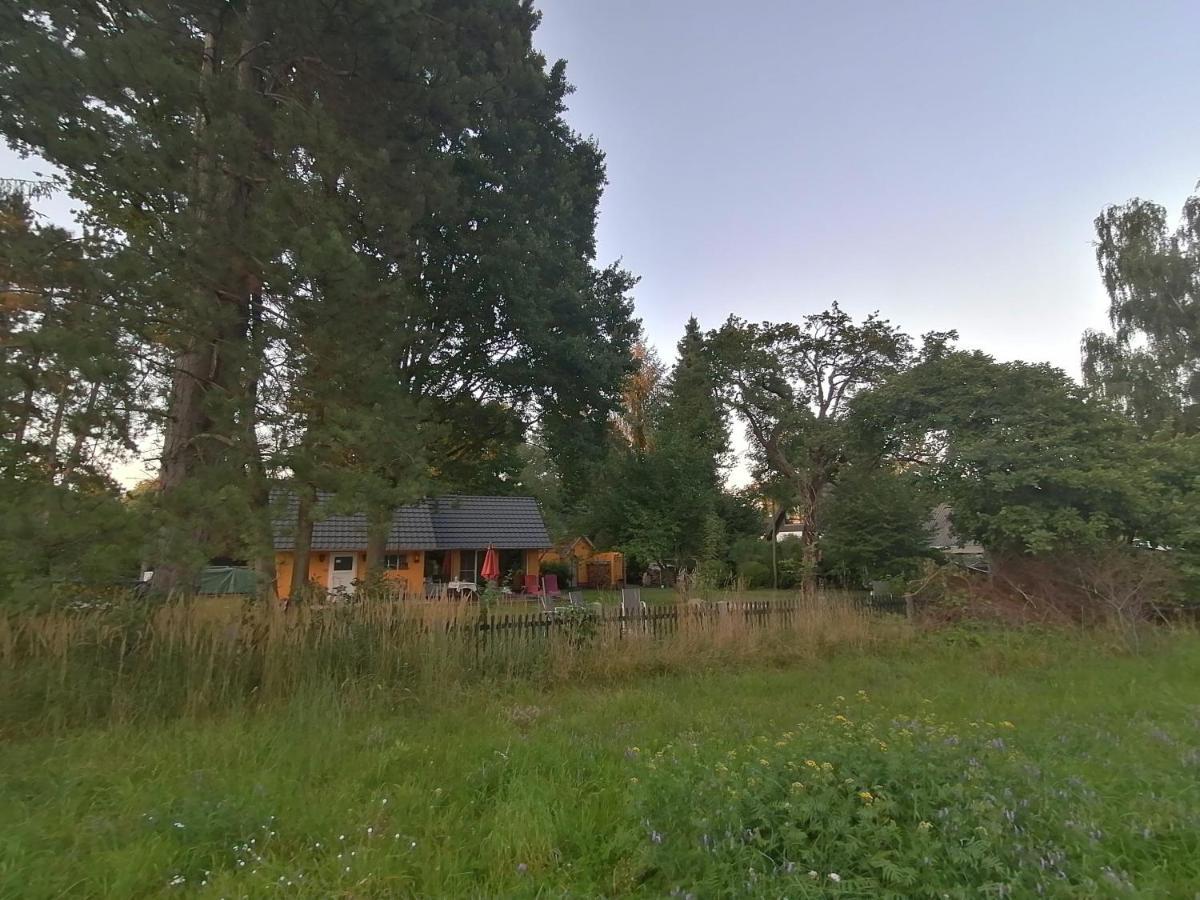Villa Bleichehof Burg  Exterior foto